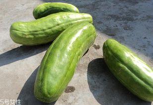 脆瓜怎么直接吃,轻松解锁脆瓜美味新境界