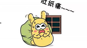 吃瓜群众的分类